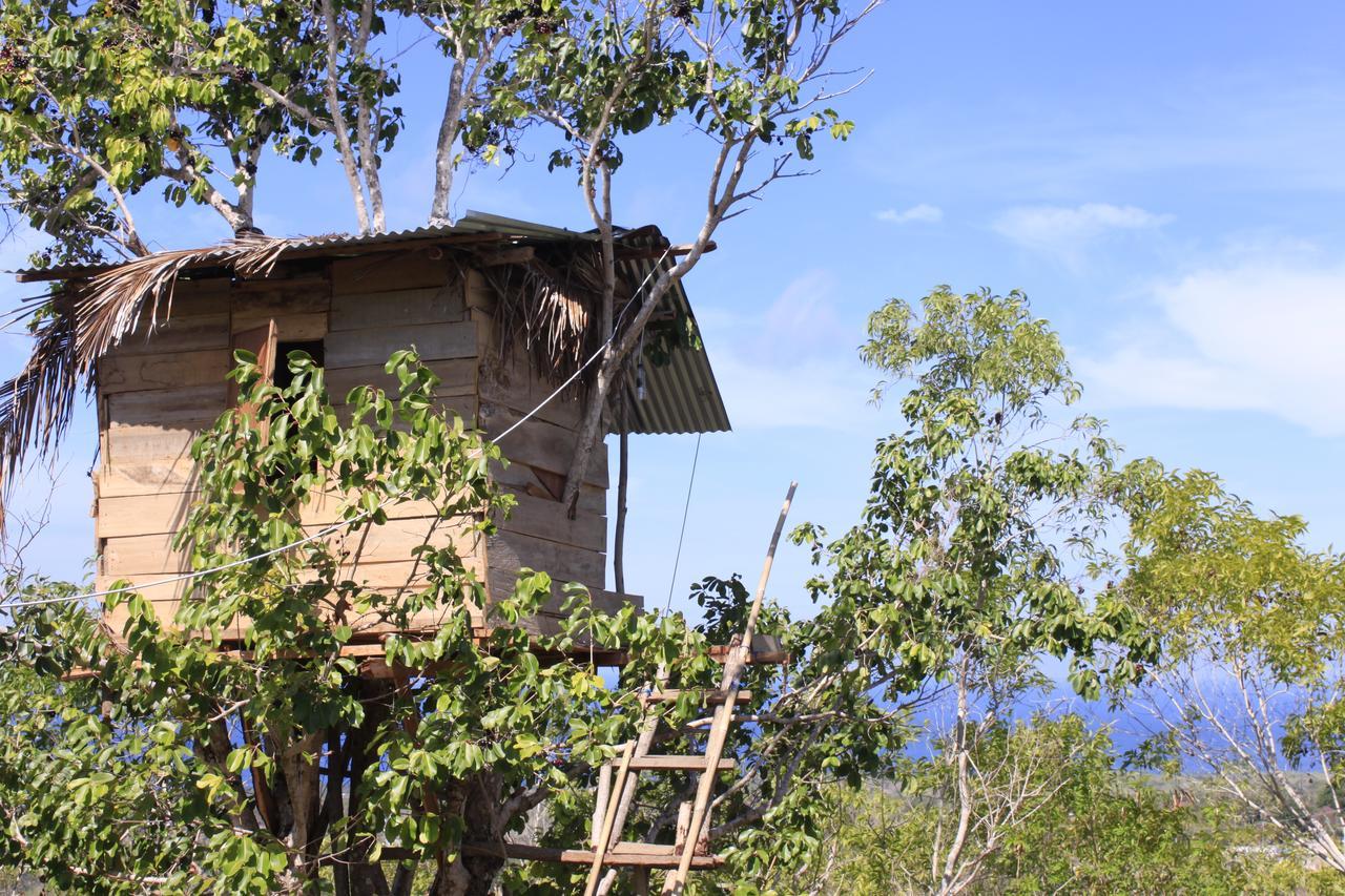 Rumah Pohon Holiday park 2*