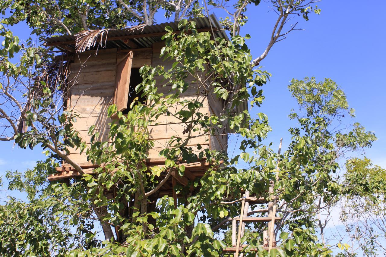 Rumah Pohon 2*