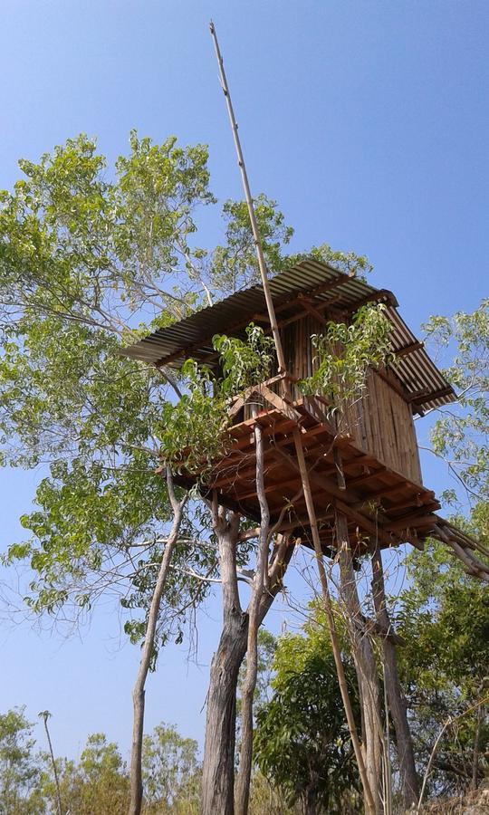 Rumah Pohon Holiday park