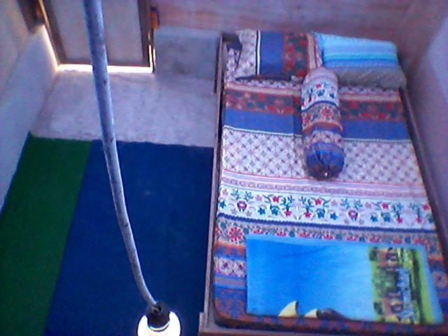 Rumah Pohon 2*
