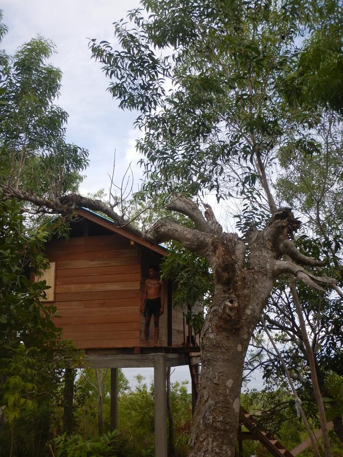 Rumah Pohon