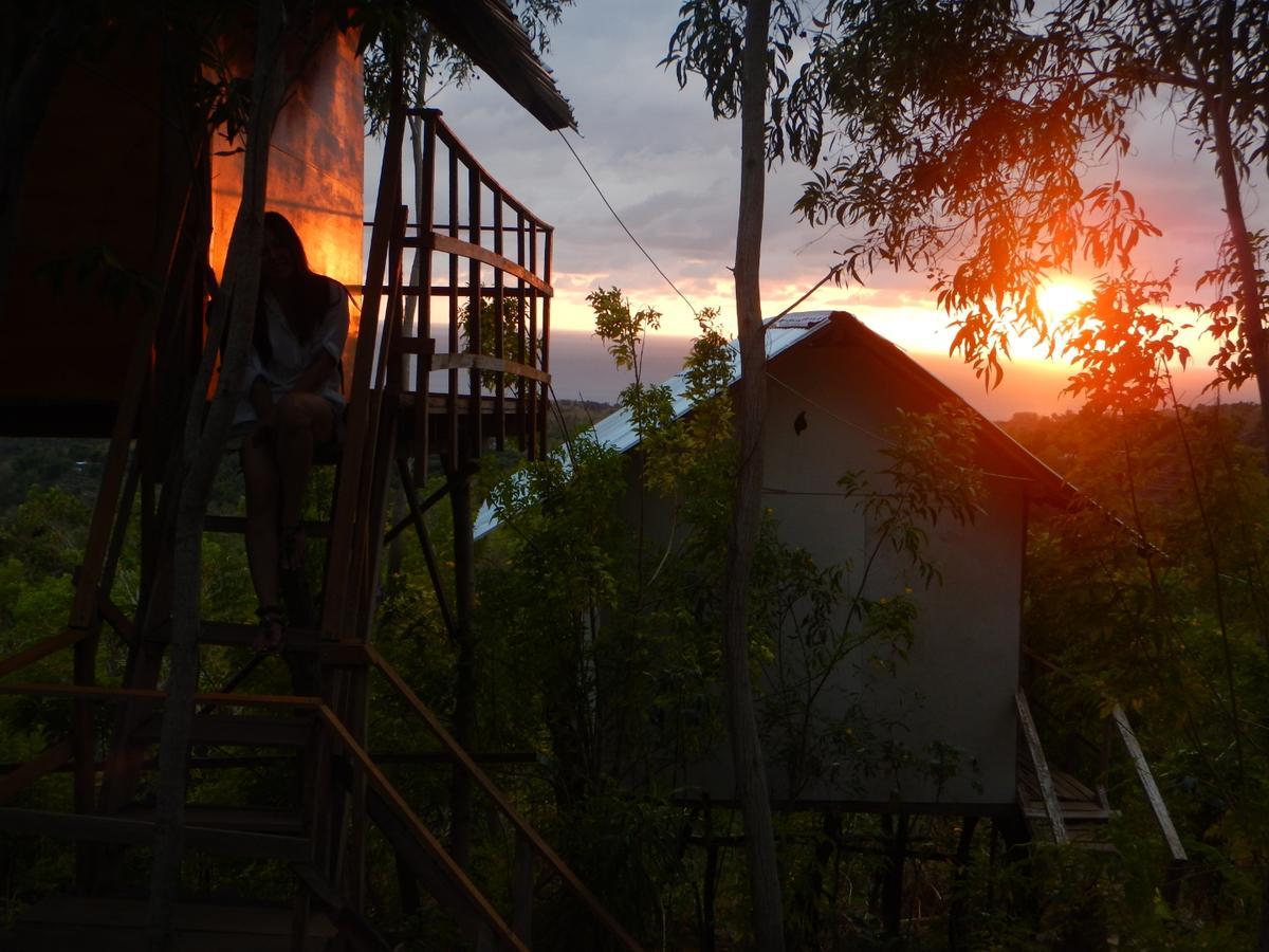 Rumah Pohon Holiday park 2*